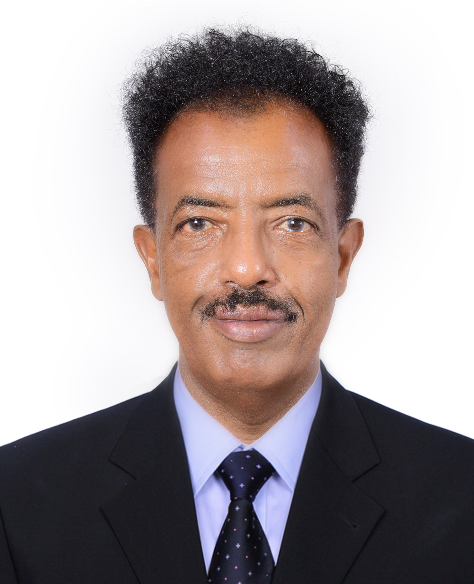 Ali Ahmed Nour